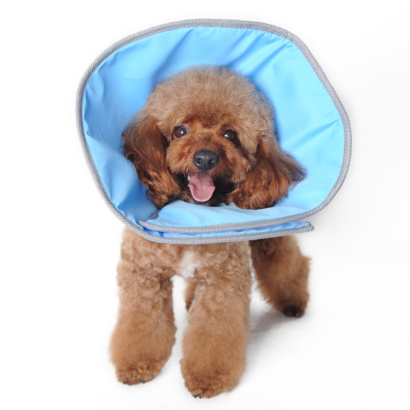 DOGO Get Better Soft Dog Recovery Collar