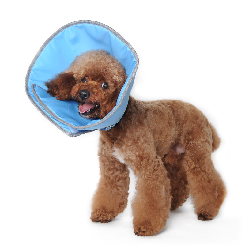 DOGO Get Better Soft Dog Recovery Collar