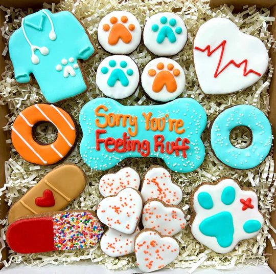 Get Well Snack Box (Dog)