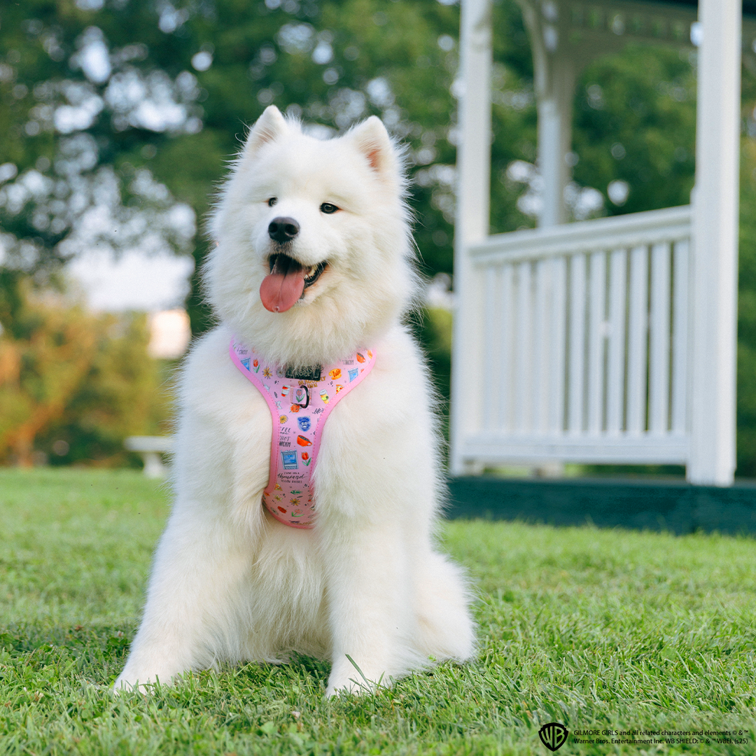 Dog Adjustable Harness - Gilmore Girls™
