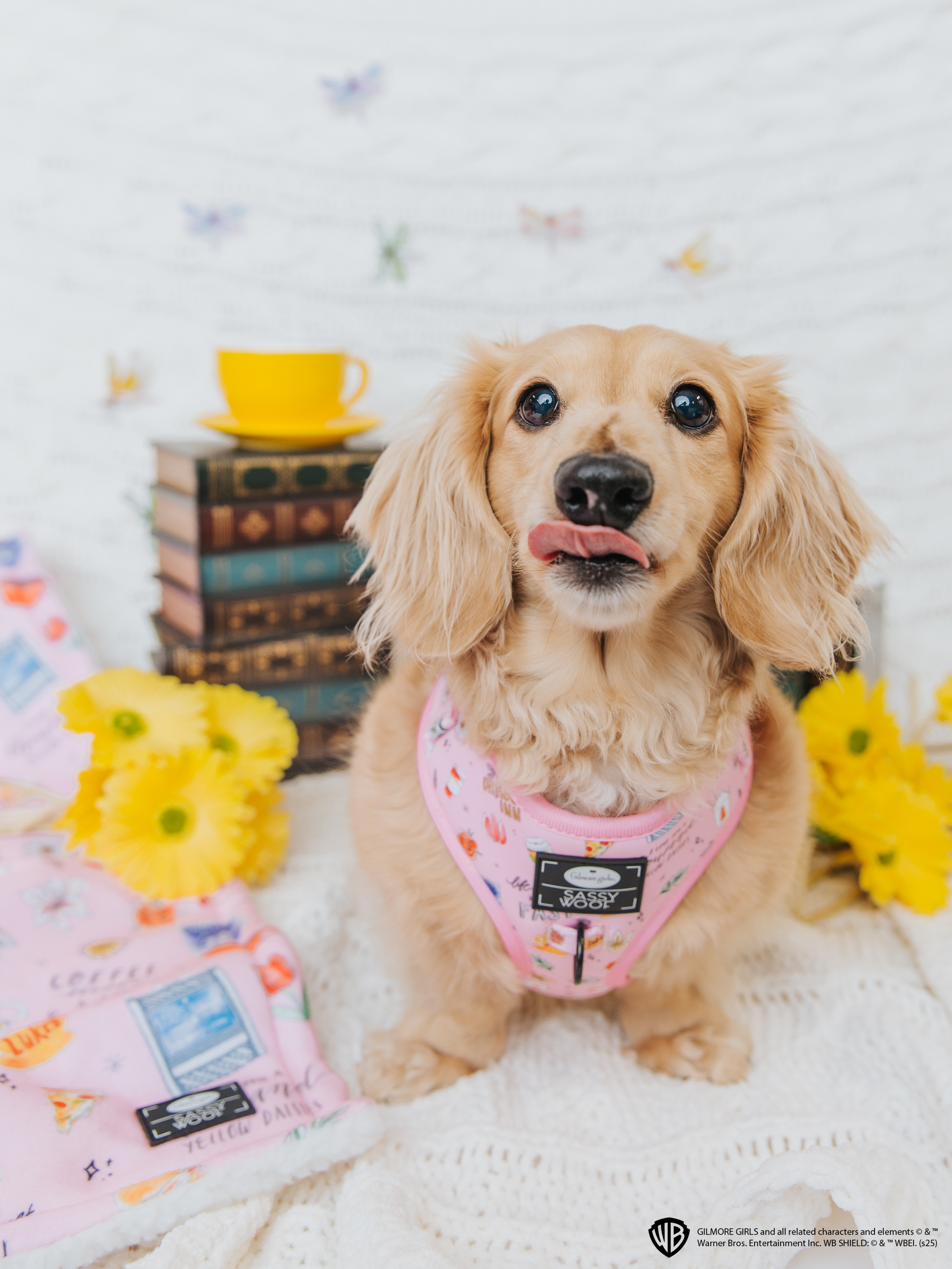 Dog Adjustable Harness - Gilmore Girls™