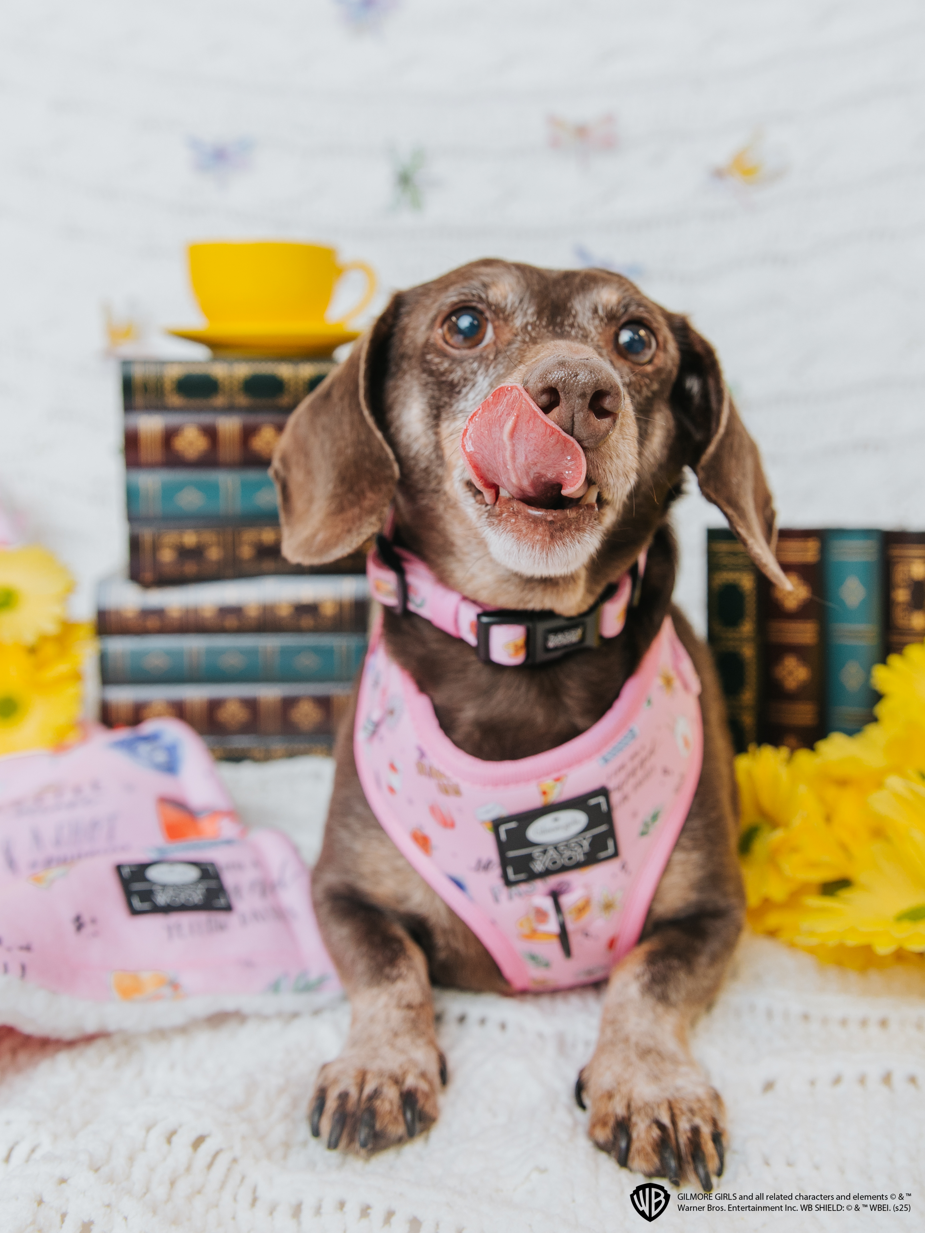 Dog Adjustable Harness - Gilmore Girls™