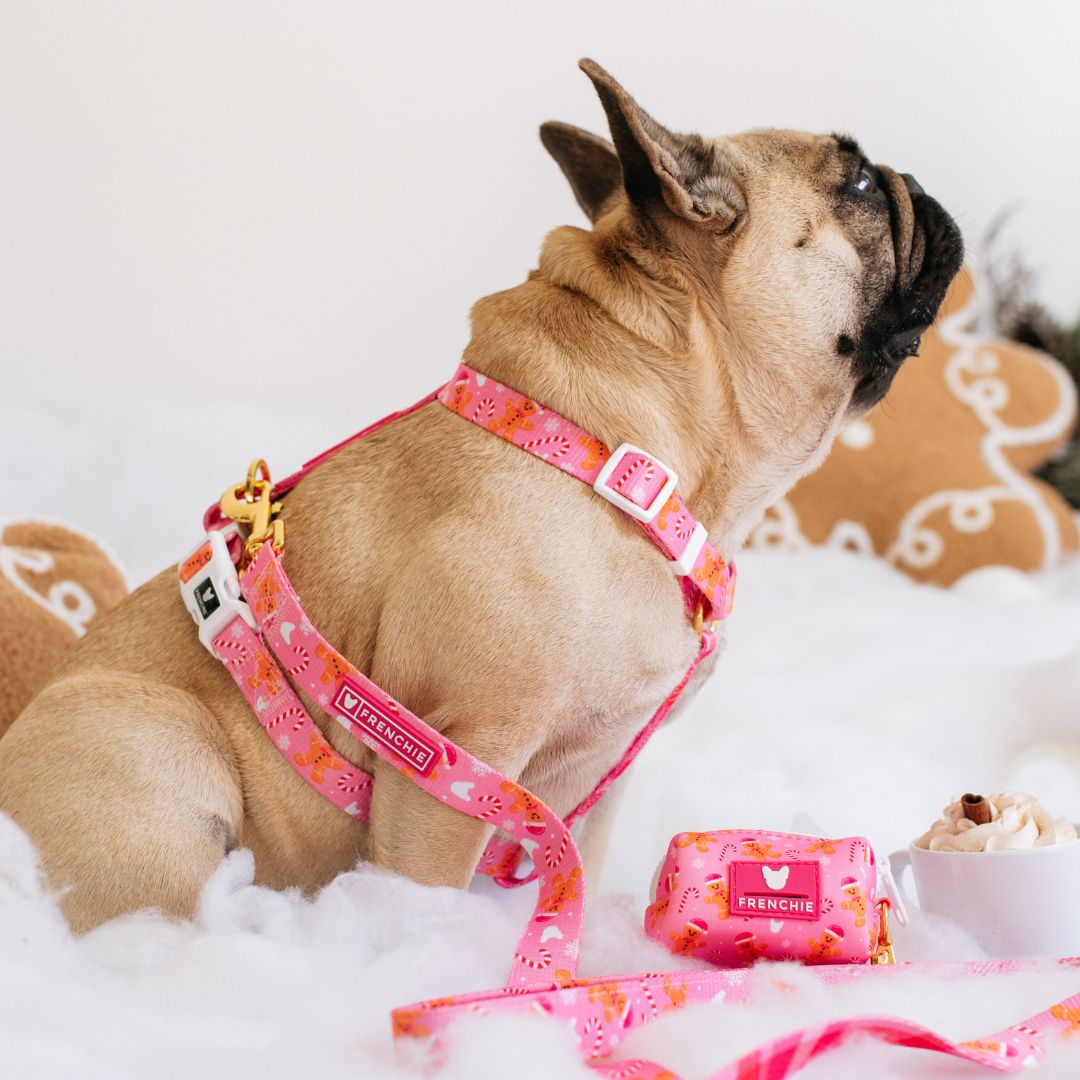 Frenchie Poo Bag Holder - Gingerbread (Pink)