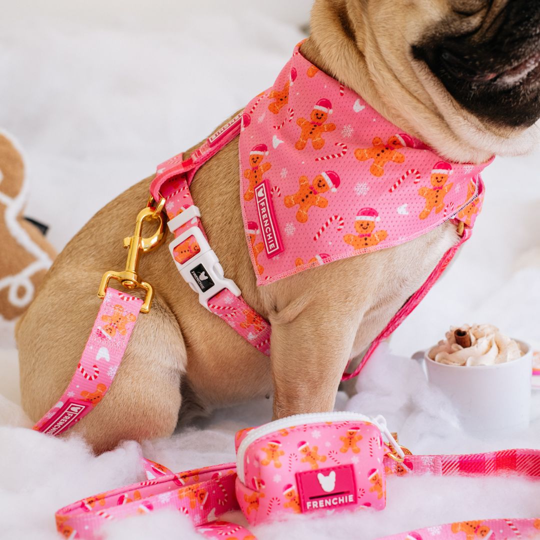 Frenchie Poo Bag Holder - Gingerbread (Pink)