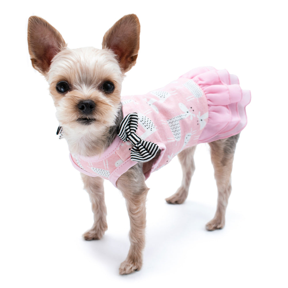 DOGO Giraffe Dog Dress