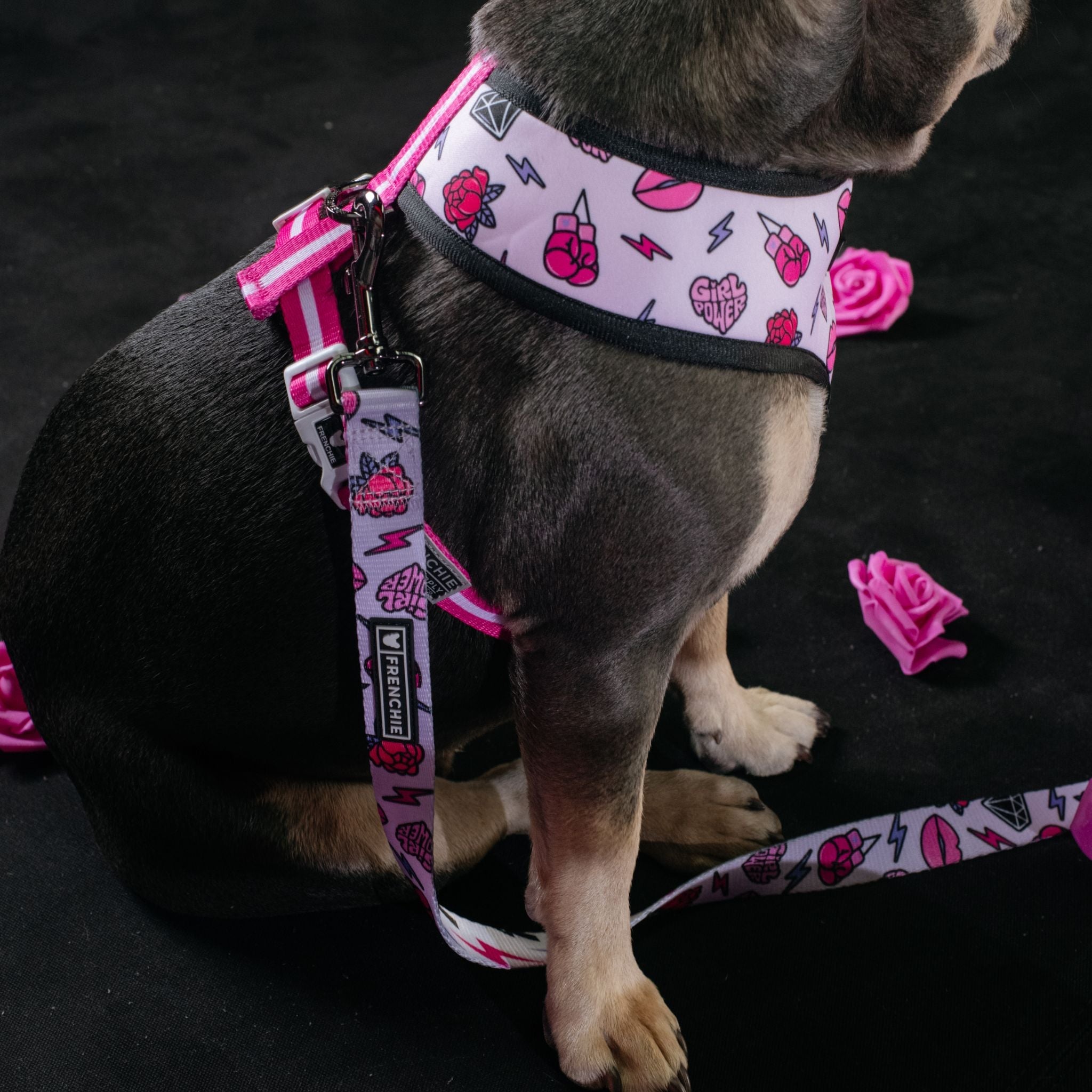 Frenchie Duo Reversible Harness - Girl Power