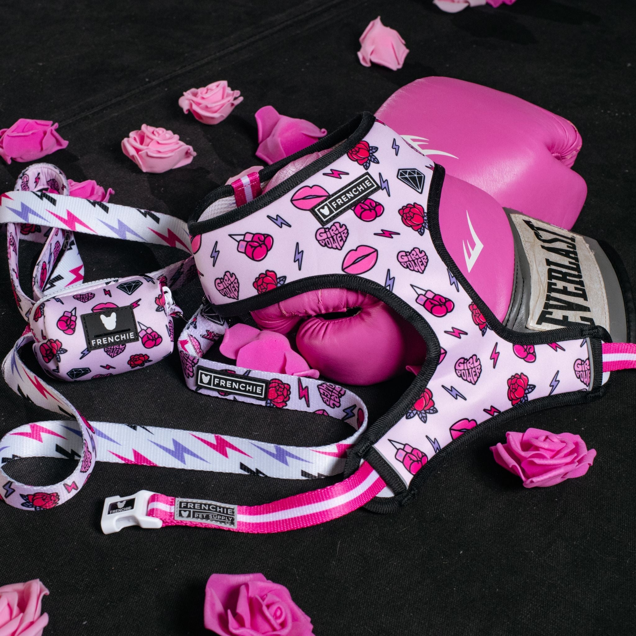 Frenchie Duo Reversible Harness - Girl Power