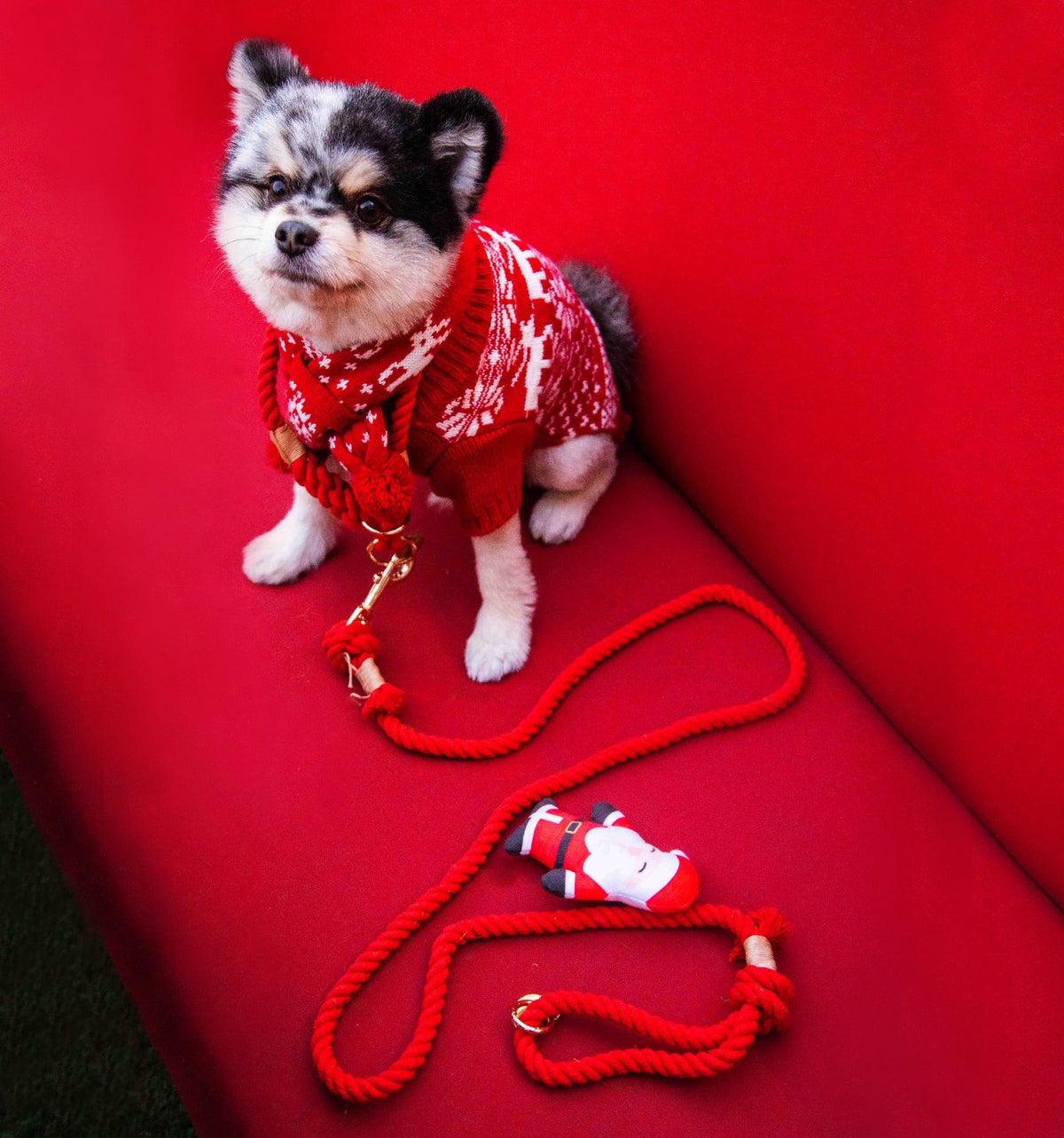 Glow Pups: Red Boho Chic Cotton Rope Dog Leash