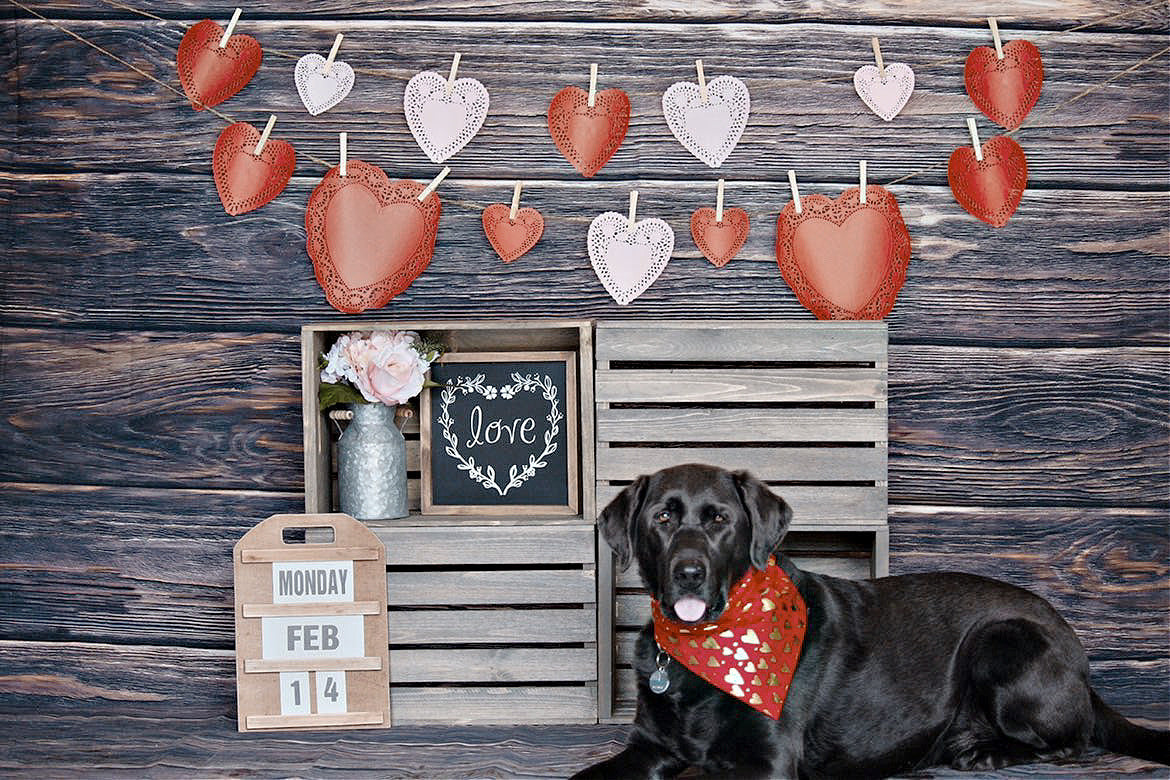 Gold Foil Hearts Valentines Day Bandana