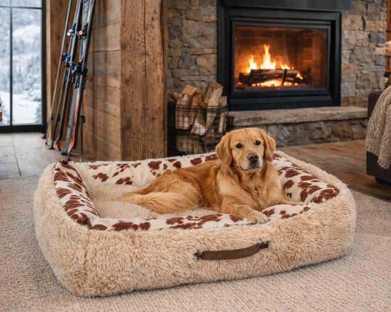 Bowsers The Dude Orthopedic Dog Bed - Supportive Joint-Relief Comfort