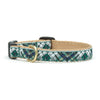 Up Country Gordon Plaid Small Breed Dog Collar Made in USA