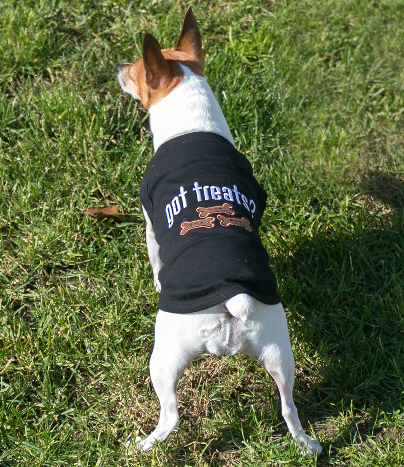 Parisian Pet Got Treats? Novelty Dog Apparel  Fun Embroidered Pet Wear for Dogs & Cats, Black