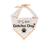Gotcha Day Dog Birthday Bandana