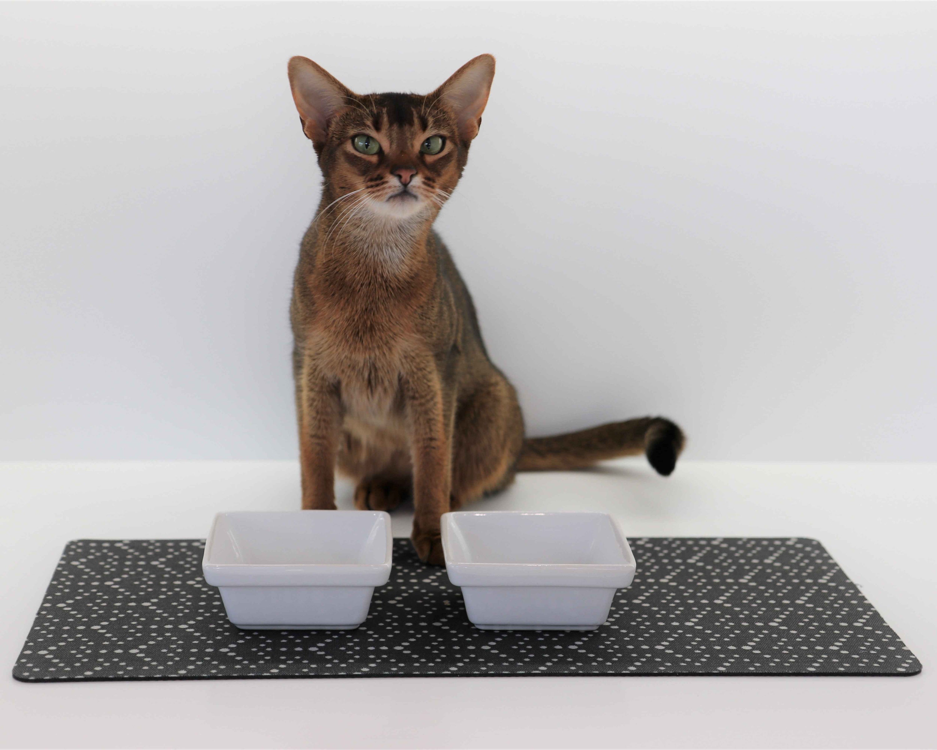 Bowsers Gourmet Pet Food Placemat – Easy-Care Floor Protection