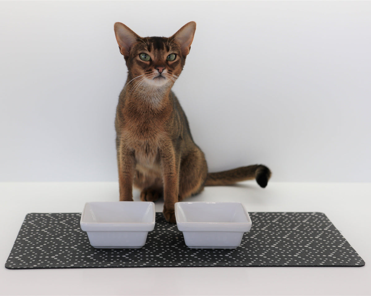 Bowsers Gourmet Pet Food Placemat - Easy-Care Floor Protection