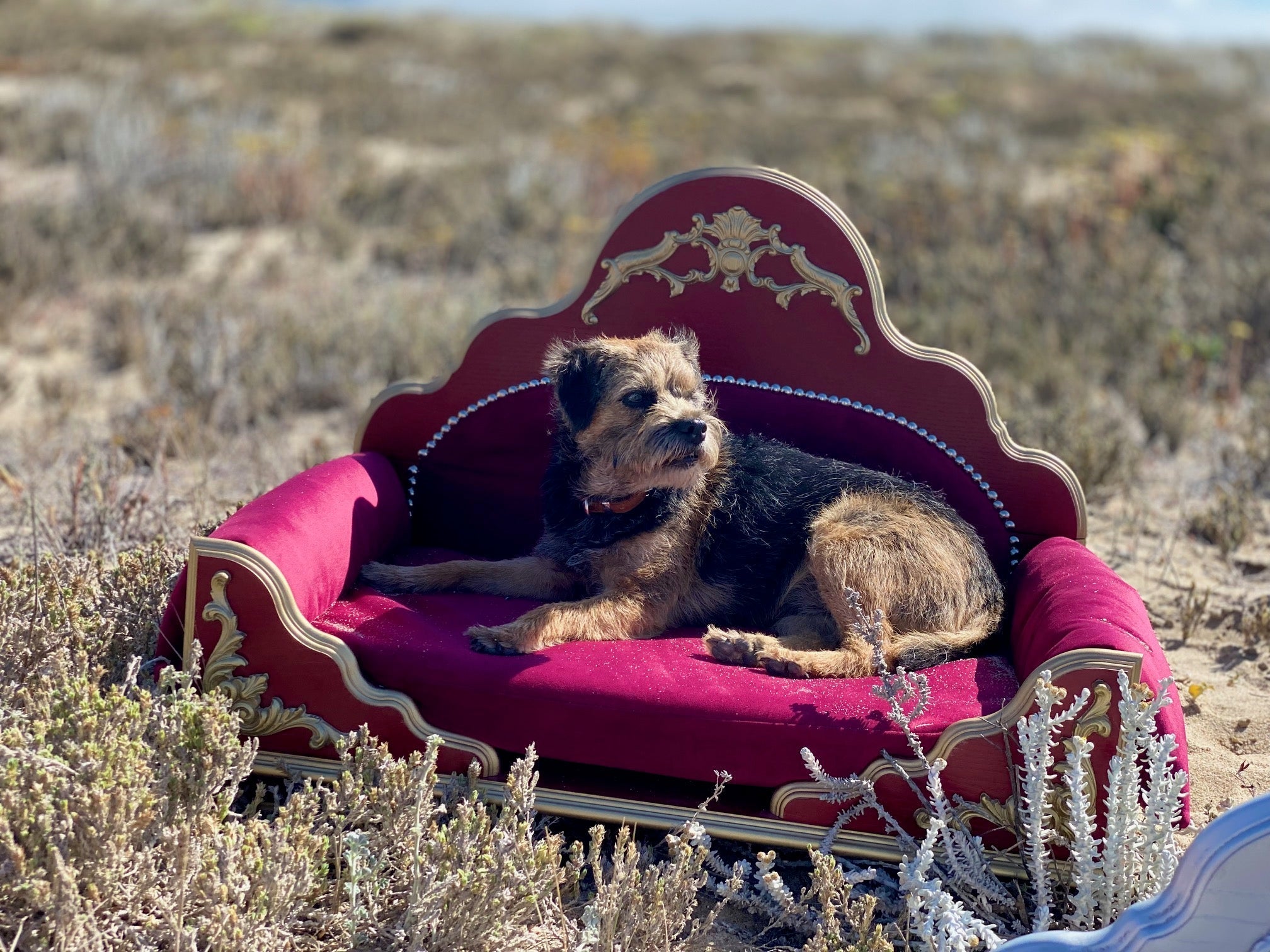 Grace Kelly: Luxury Dog Bed, Bordeaux