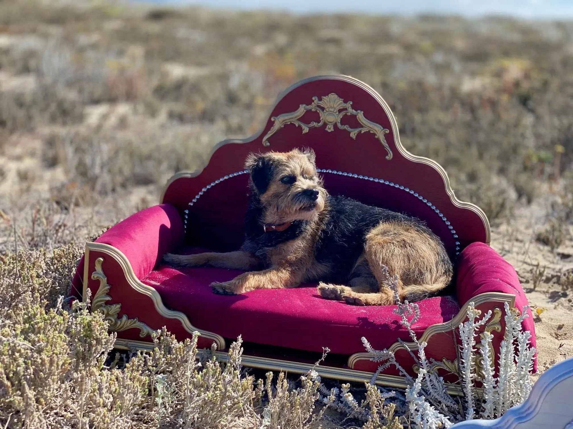Grace Kelly Bordeaux Dog Bed