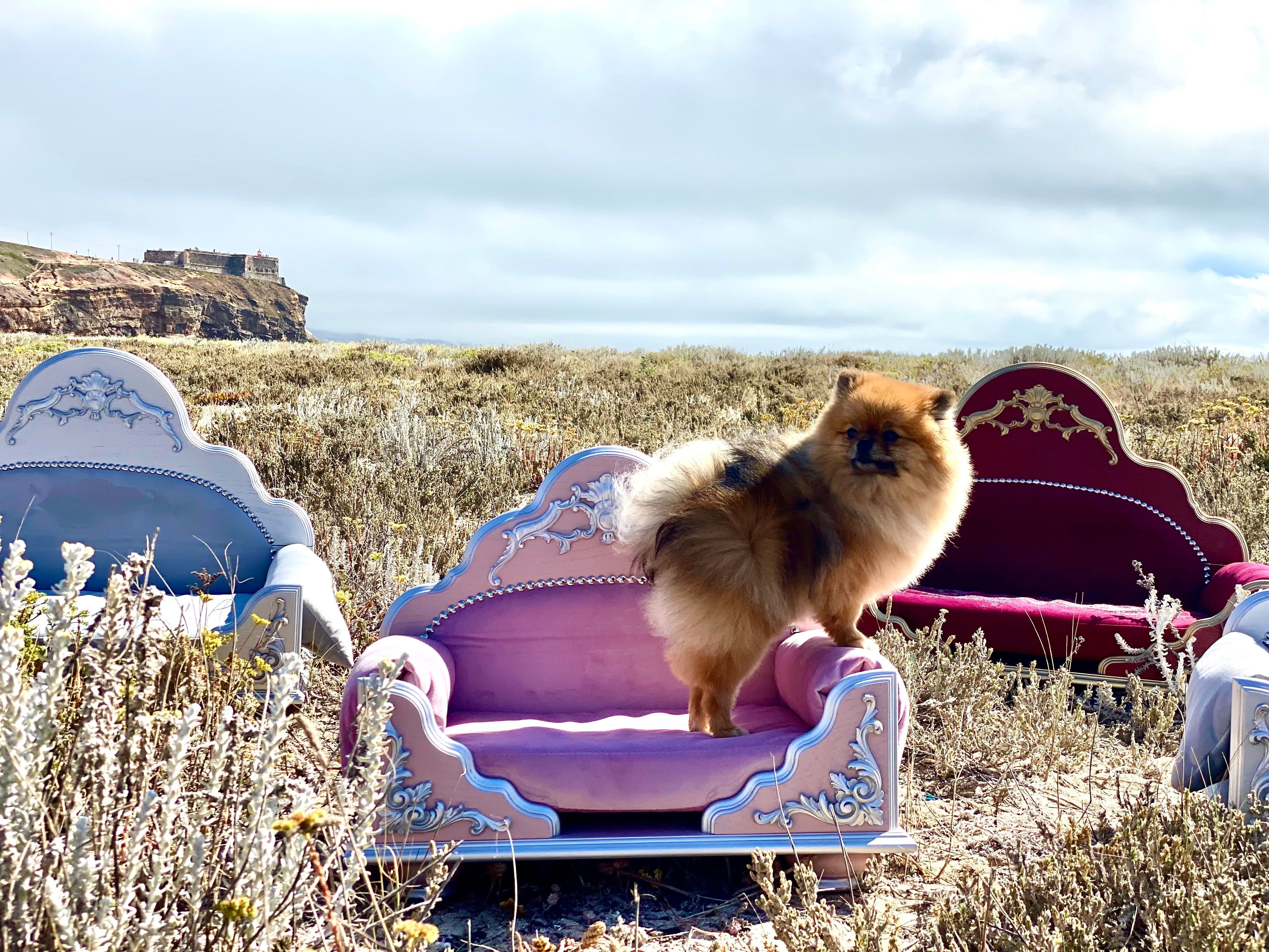 Grace Kelly: Soft Pink/Rose Color