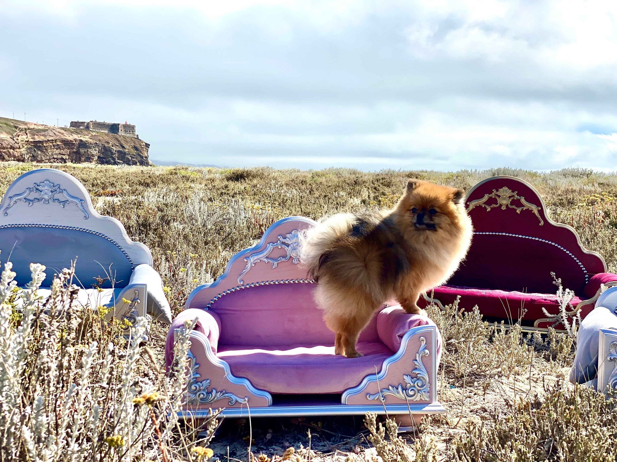 Grace Kelly Soft Pink & Rose Dog Bed
