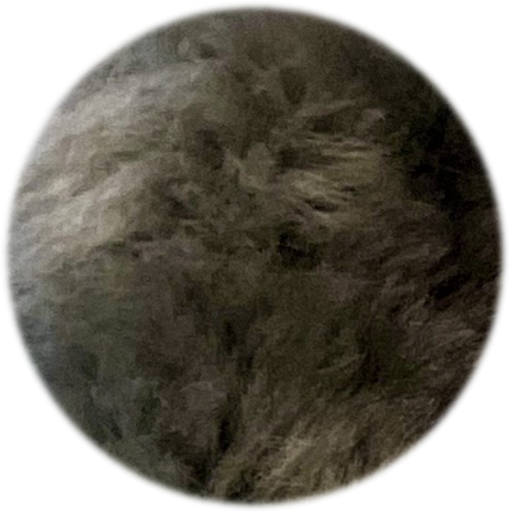 Bonne et Filou – Shearling Fur Dog Leash Grip