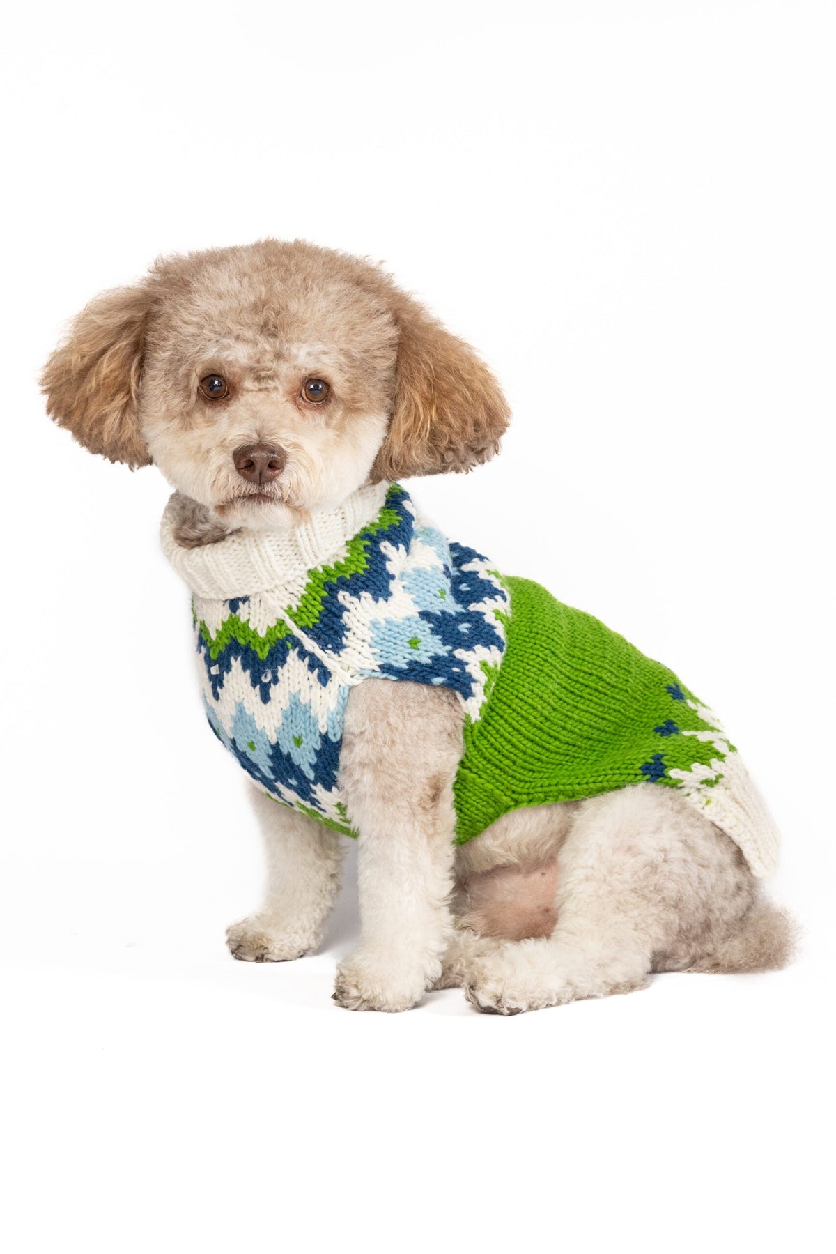 Chilly Dog Spring Ski Bum Wool Dog Sweater