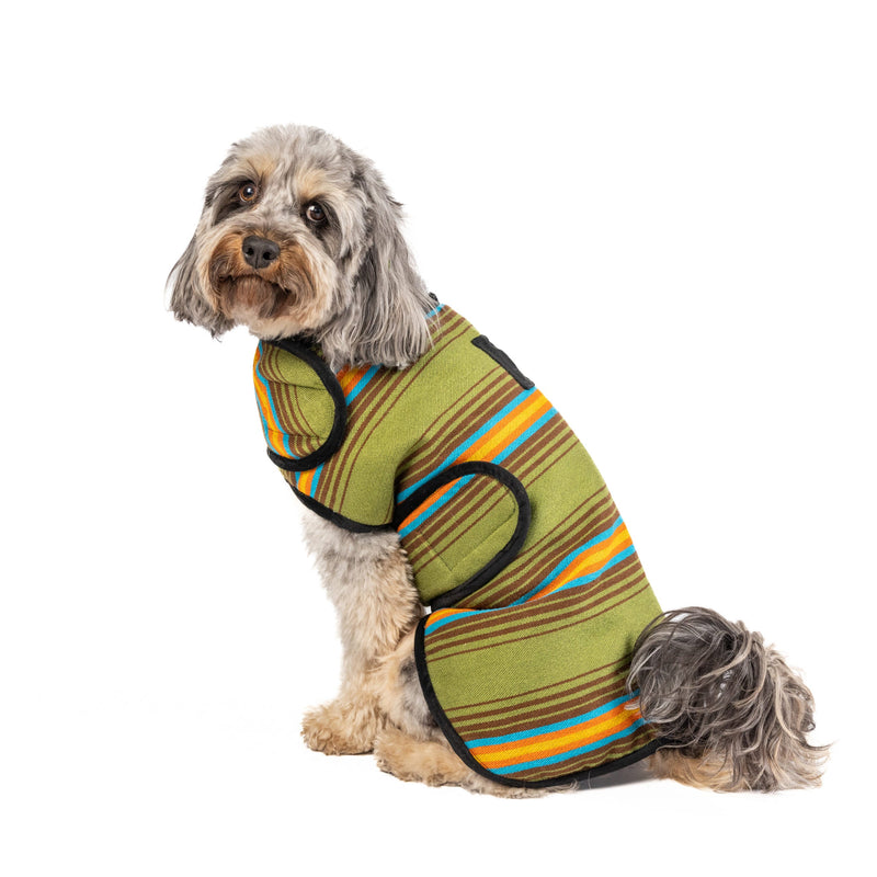 Camp Green Dog Coat
