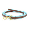 Up Country Color Market Small Breed Dog Leash Made in USA