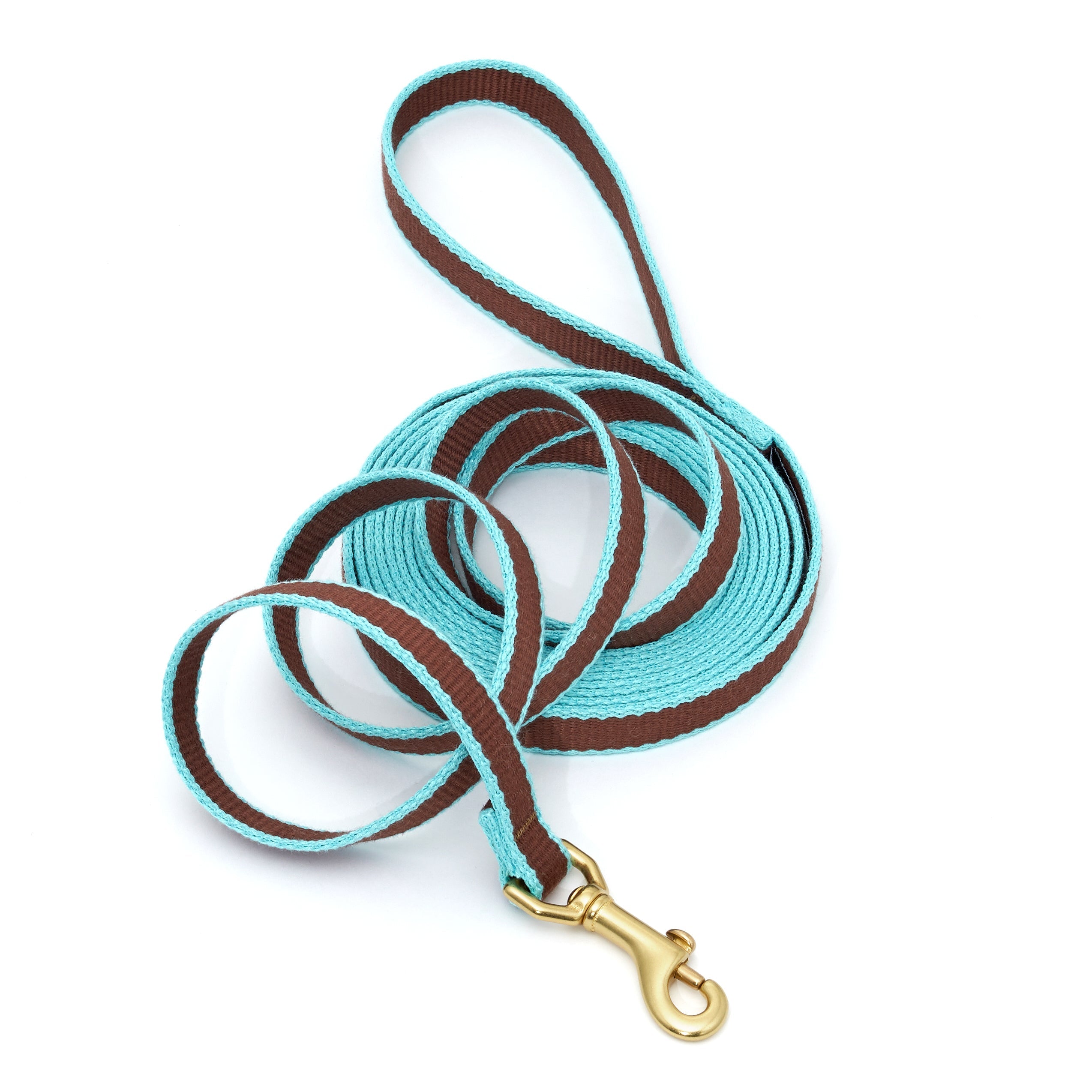 Color Market Training Lead