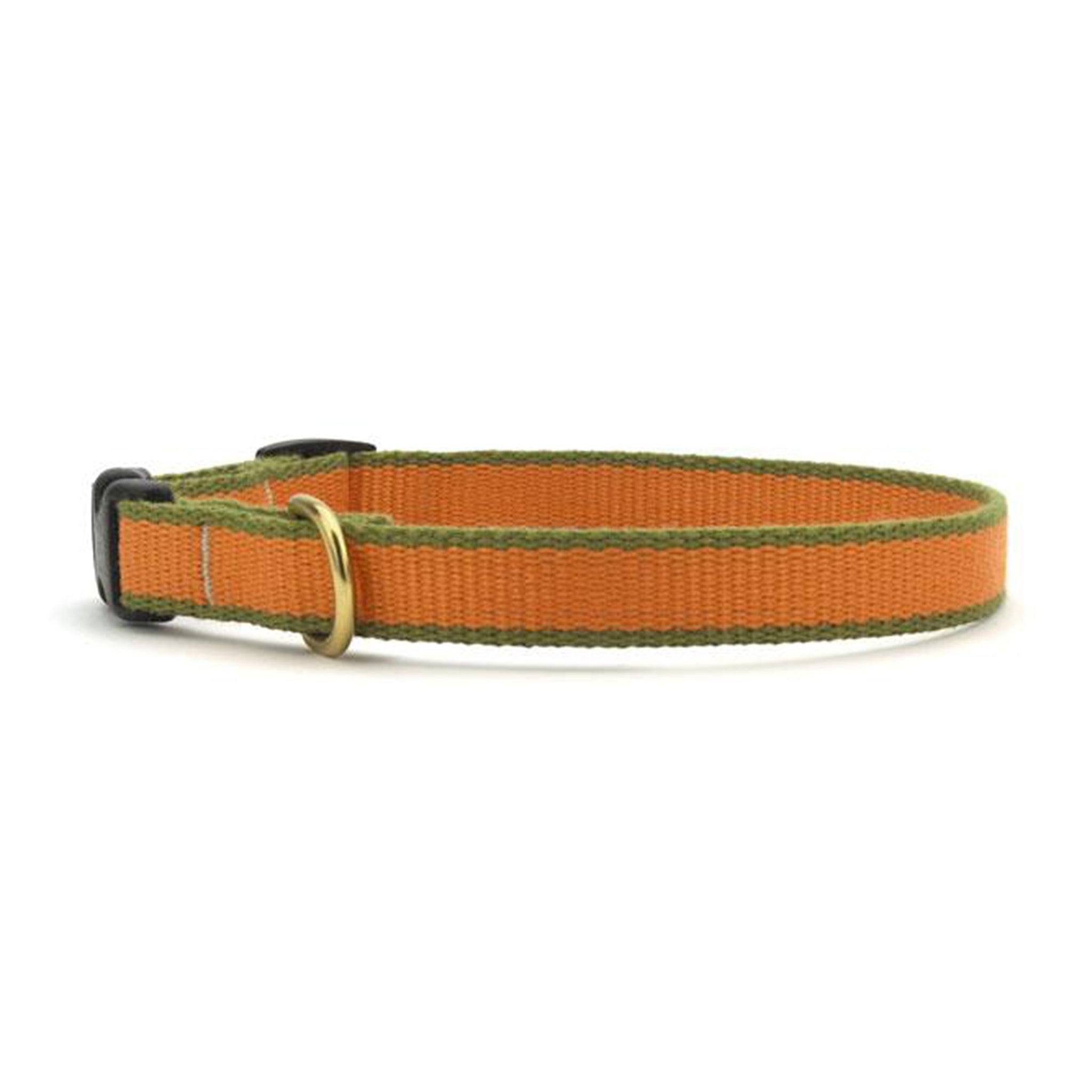 Color Market Dog Collar - Small Breed