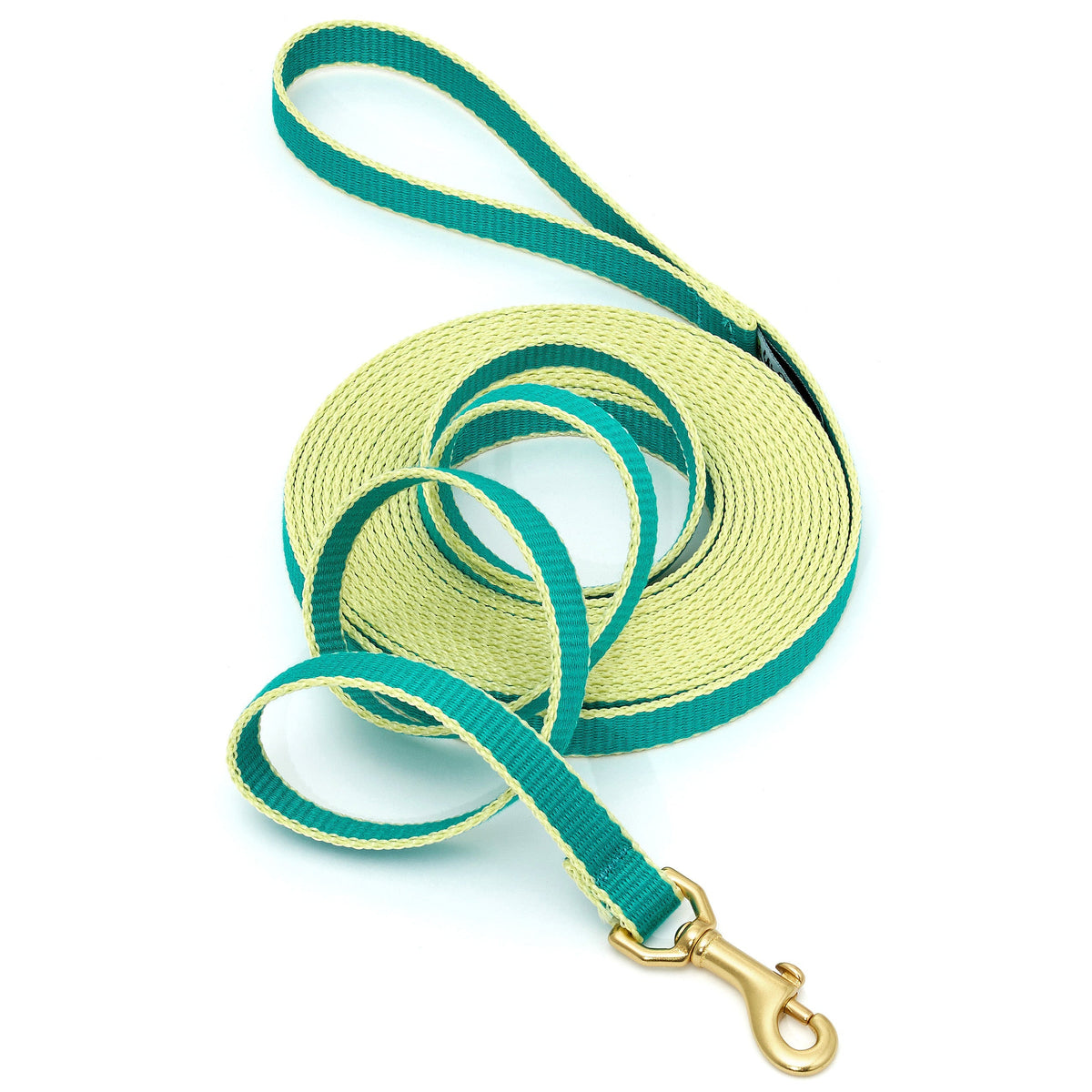 Color Market Training Lead