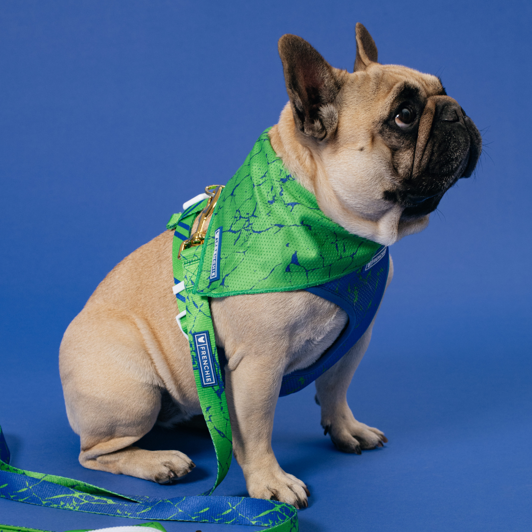 Frenchie Cooling Bandana - Green Marble