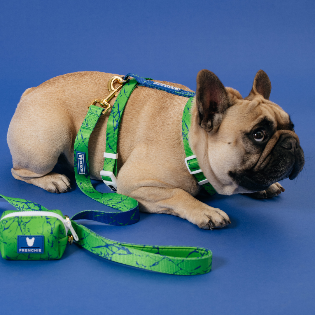 Frenchie Comfort Leash - Green Marble