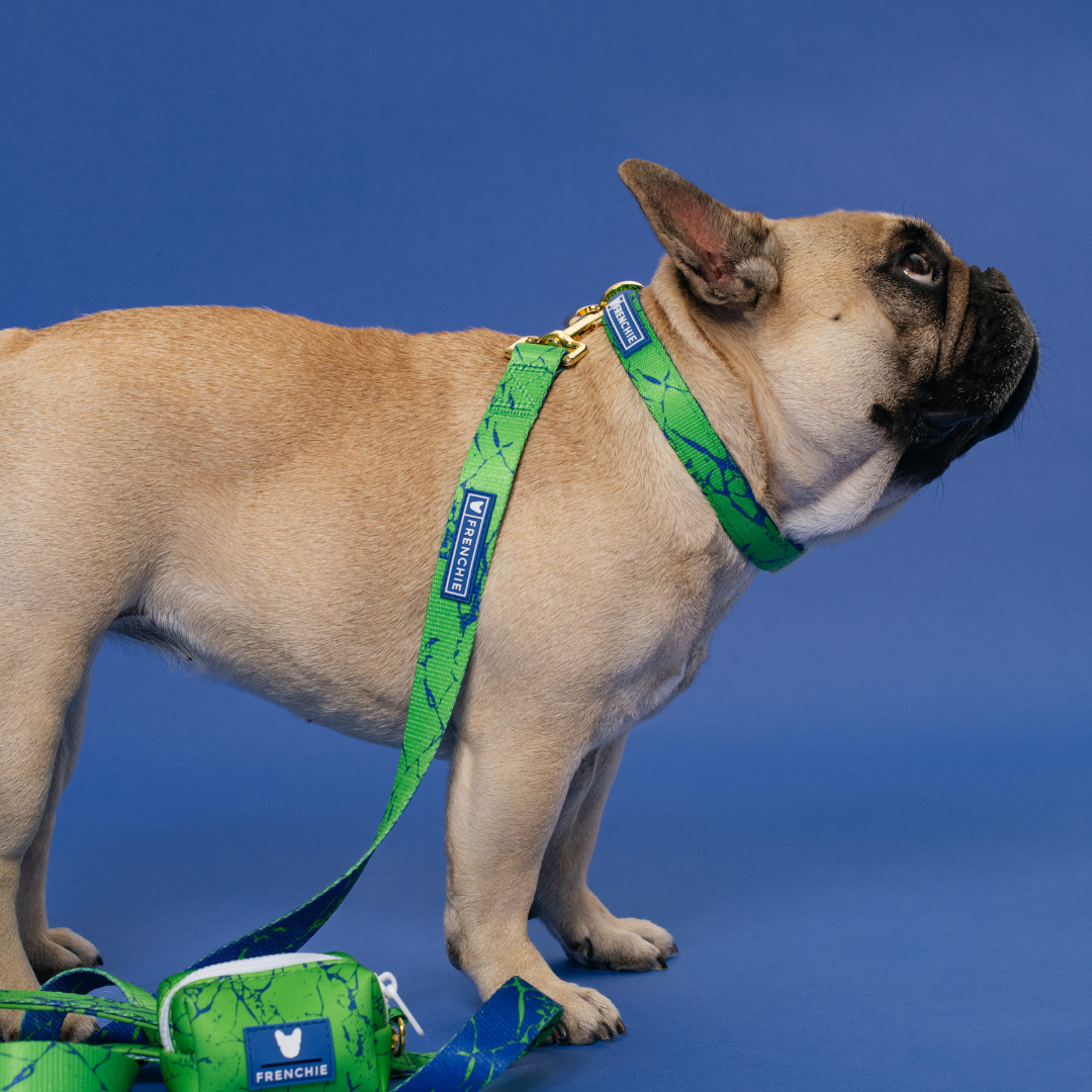 Frenchie Comfort Collar - Green Marble