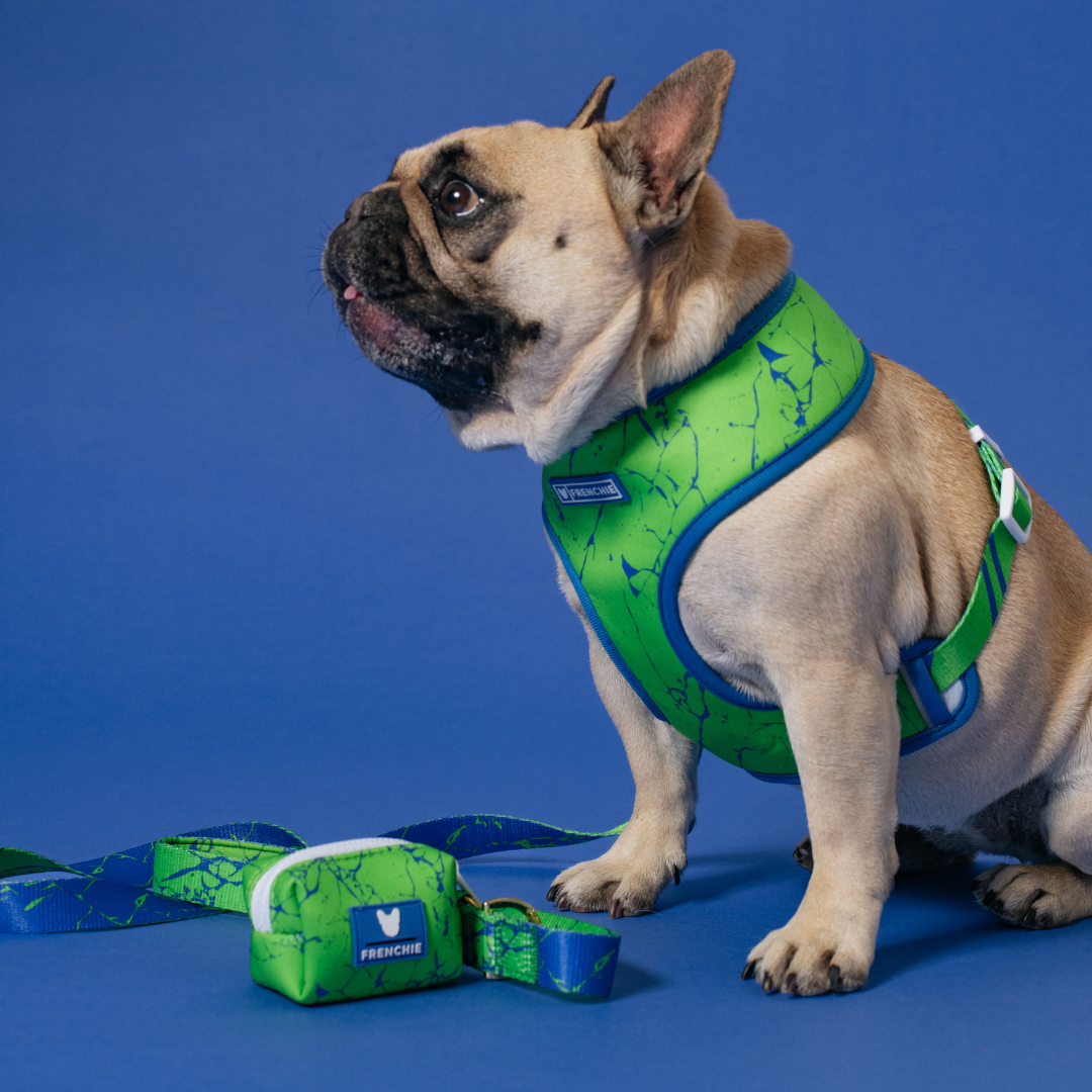 Frenchie Poo Bag Holder - Green Marble