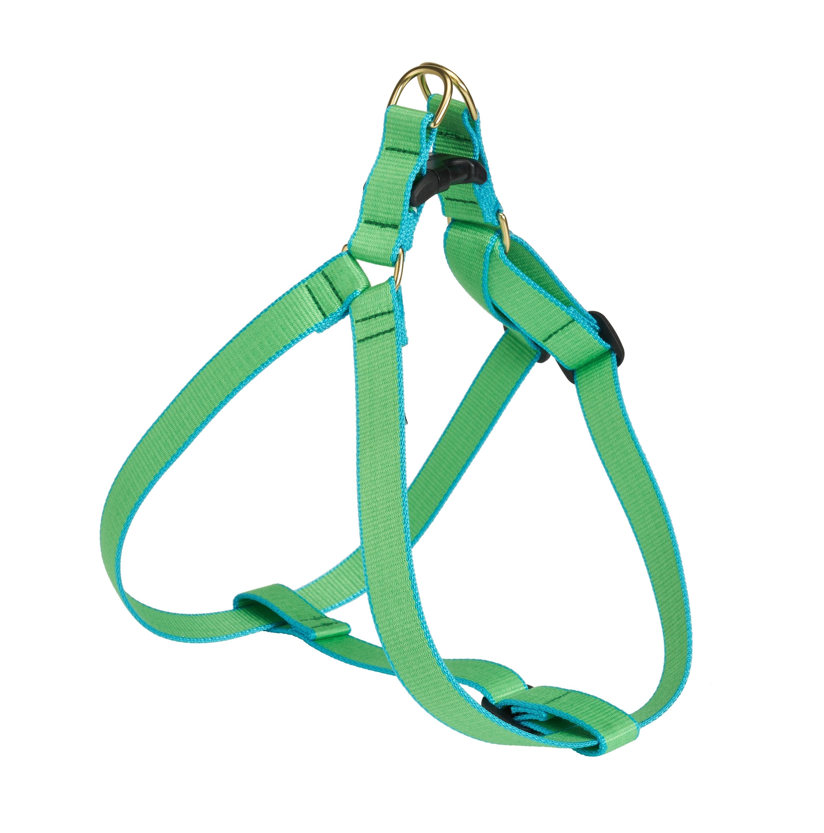 Color Market Dog Harness