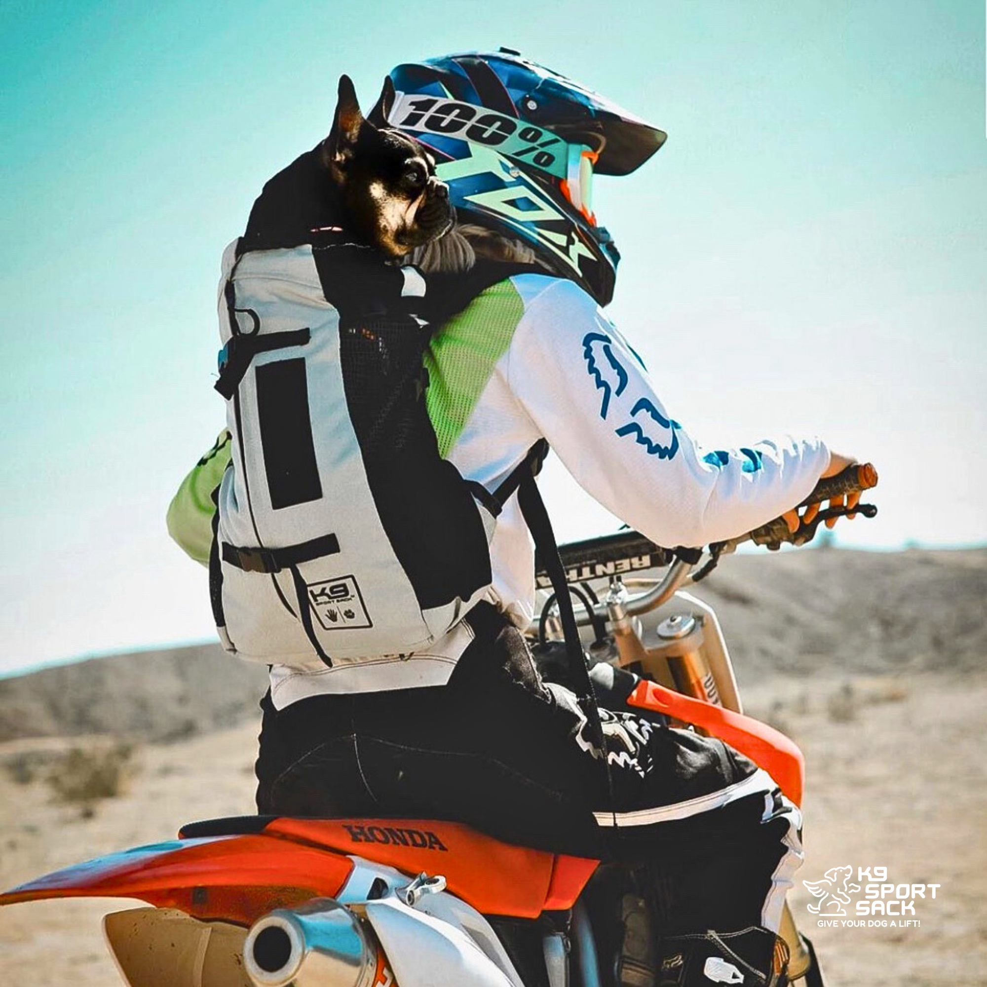 Air 2 | The Original Backpack Dog Carrier