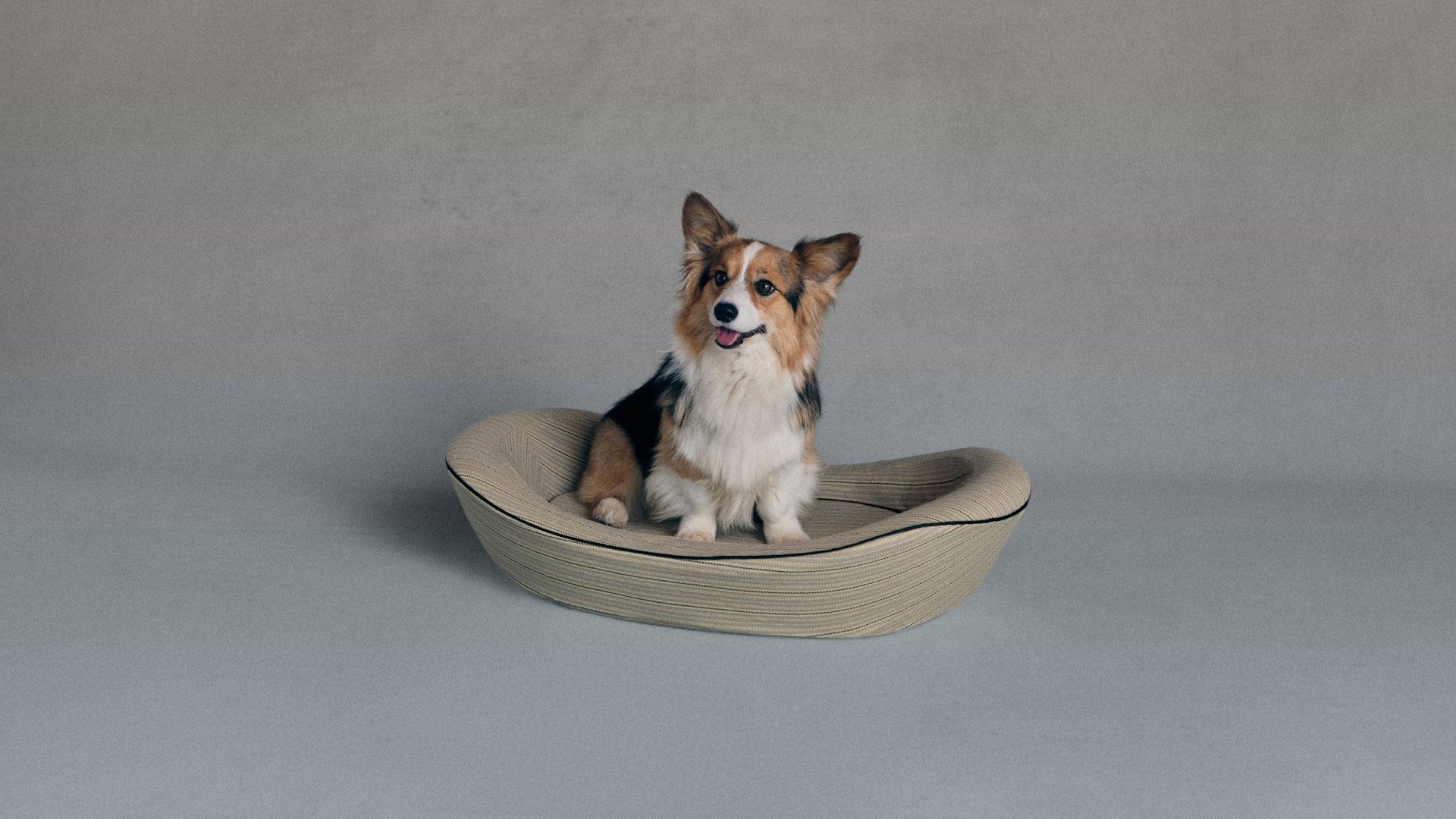 Timeless Dog Bed in Finch & Flint