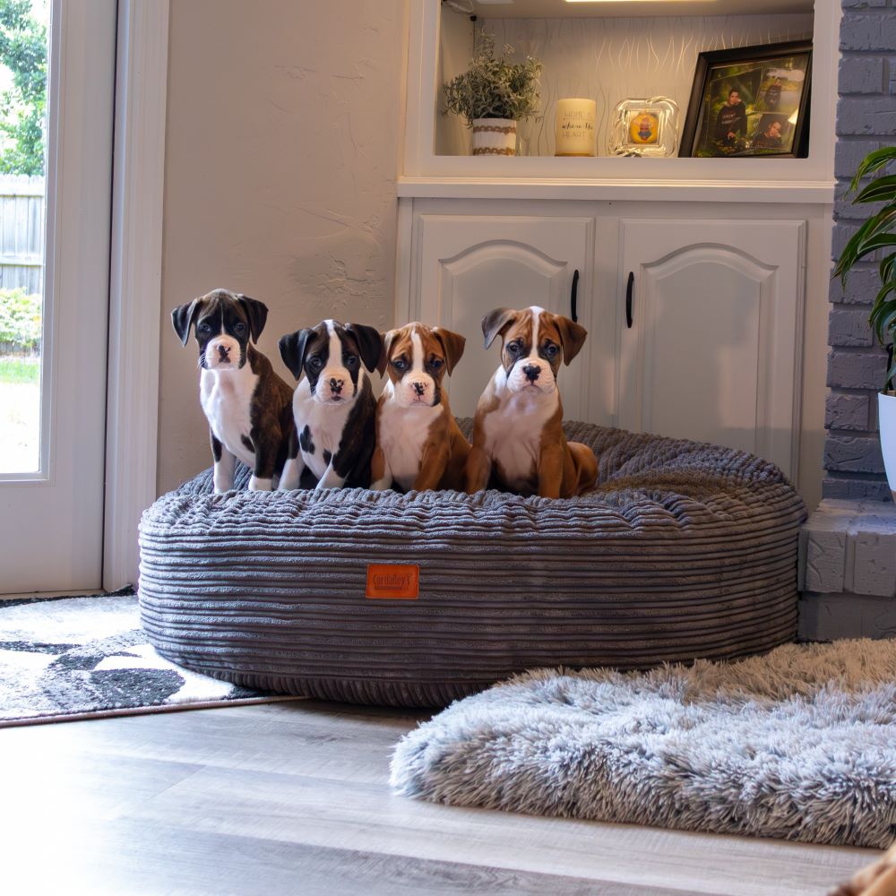 CordaRoys 50-Inch Waterproof Terry Corduroy Dog Bed | HT Animal Supply