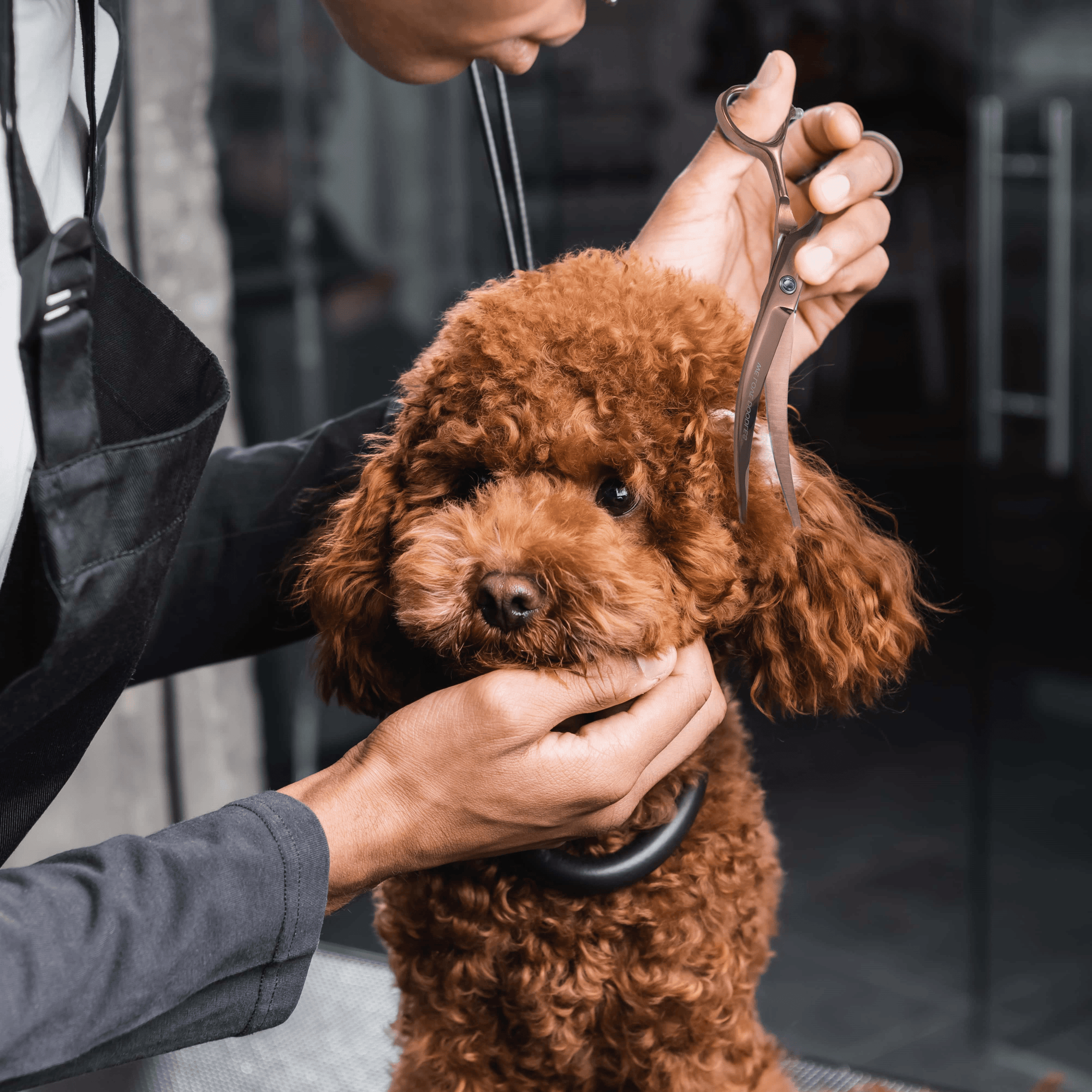 Ultimate Dog Grooming Pack - Complete At-Home Grooming Kit