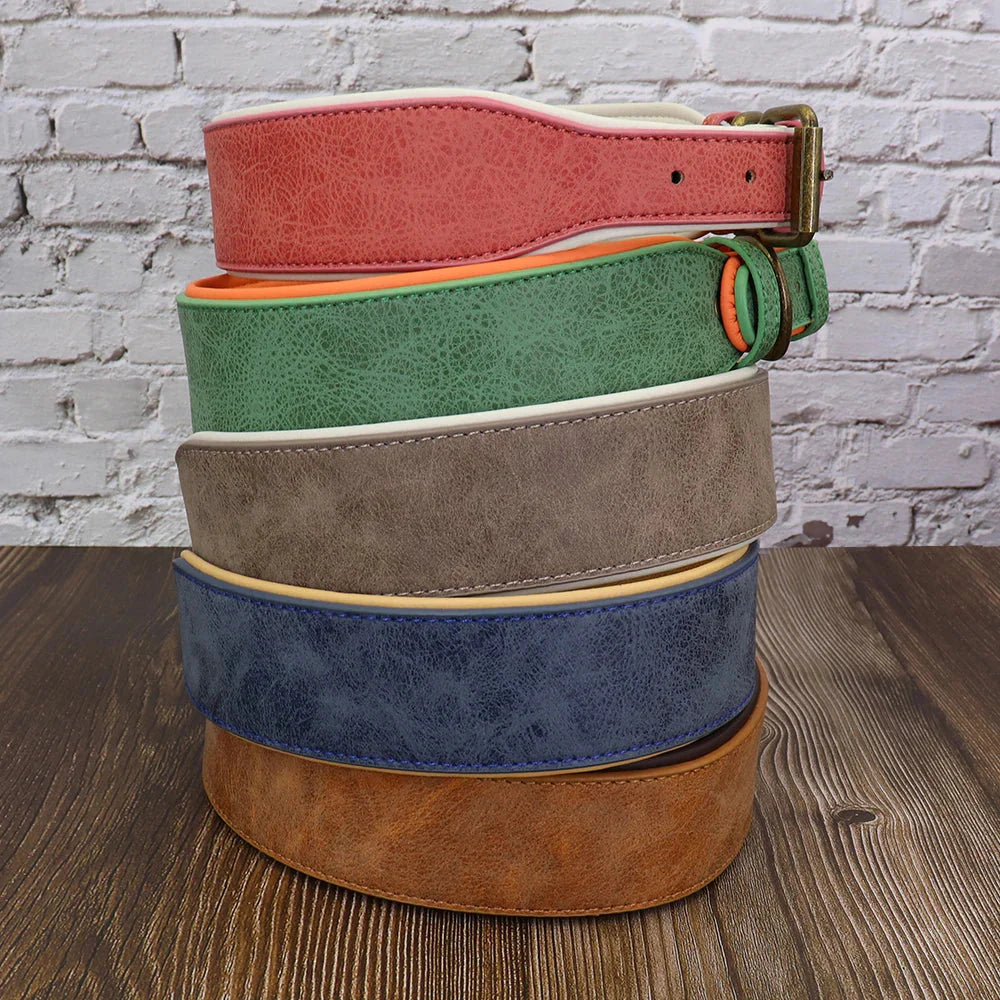 The Wide Luxe Collar - Padded Leather for Large Dogs