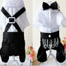 Handsome Stylish Pet Suit with Bow Tie