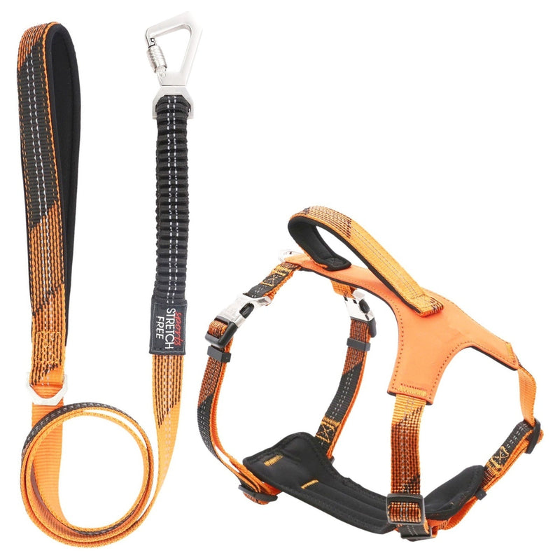 Pet Life Geo-prene 2-in-1 Shock Absorbing Neoprene Padded Reflective Dog Leash and Harness | HT Animal Supply