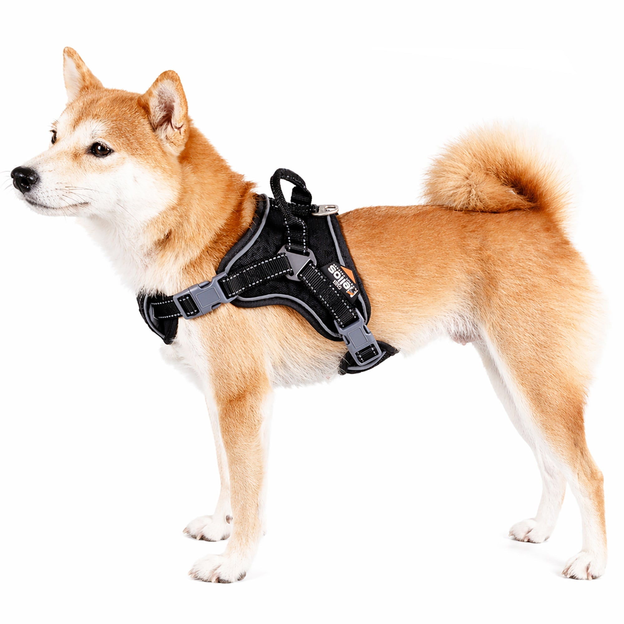 Dog Helios Scorpion Sporty High-Performance Free-Range Dog Harness | HT Animal Supply