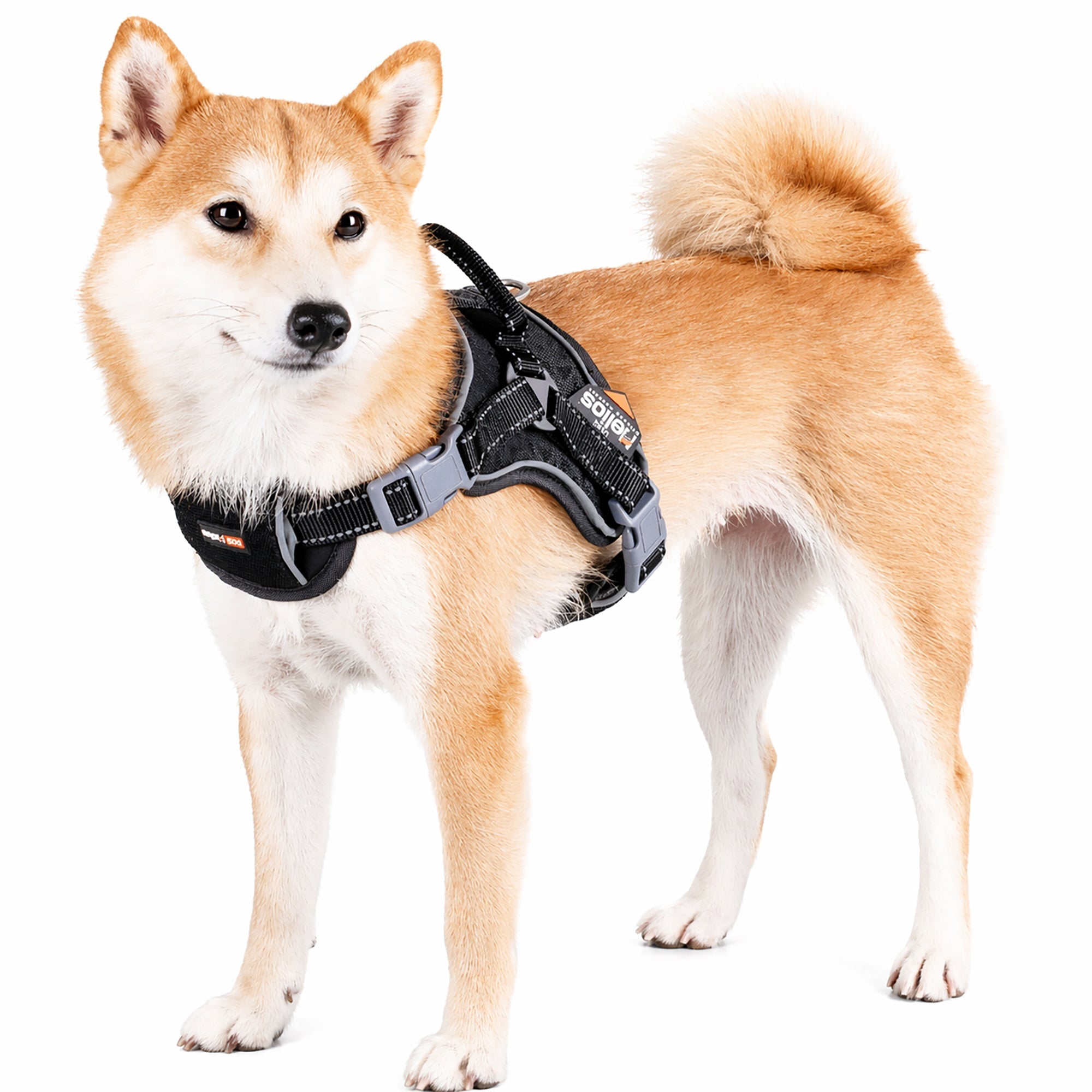 Dog Helios Scorpion Sporty High-Performance Free-Range Dog Harness | HT Animal Supply