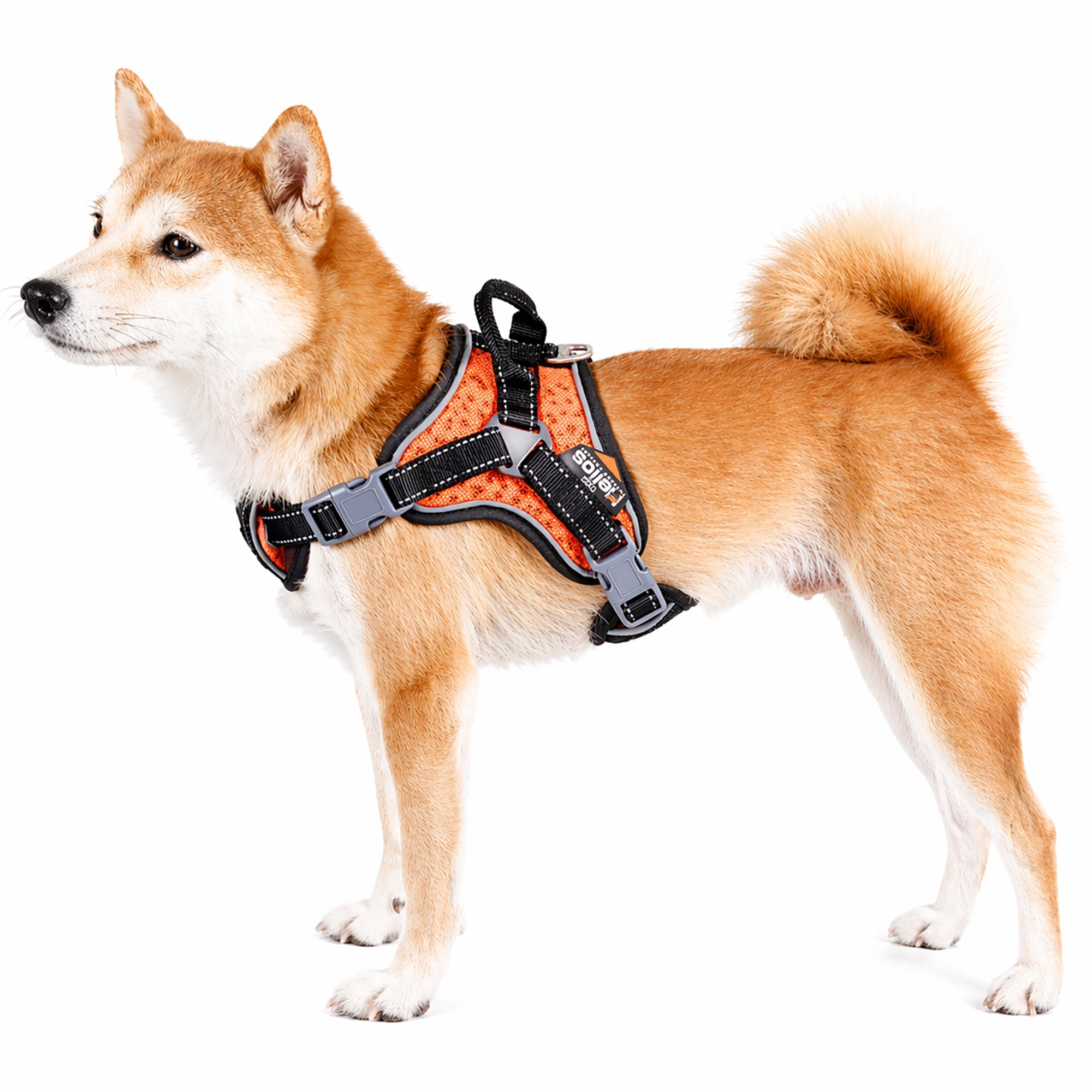 Dog Helios Scorpion Sporty High-Performance Free-Range Dog Harness | HT Animal Supply