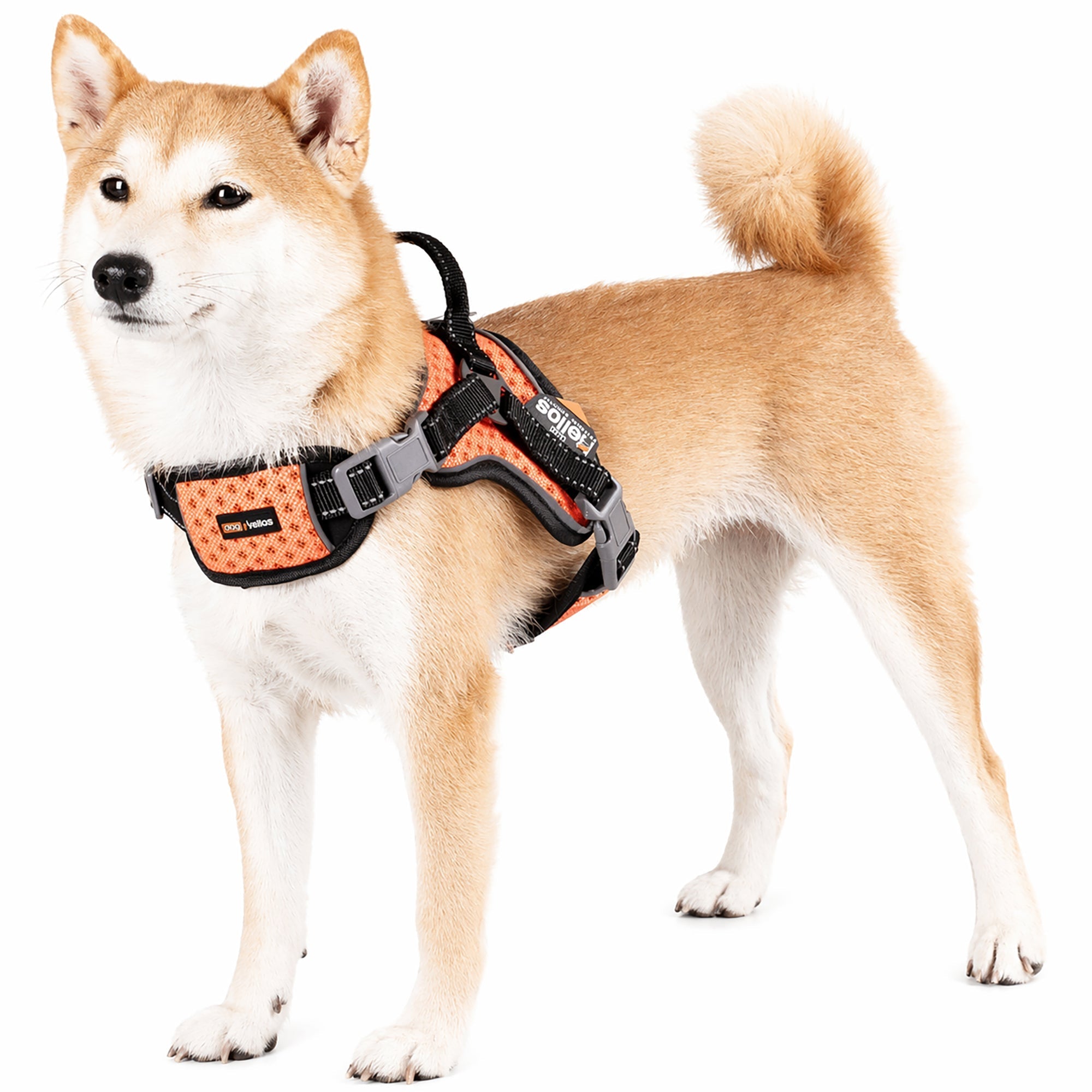 Dog Helios Scorpion Sporty High-Performance Free-Range Dog Harness | HT Animal Supply