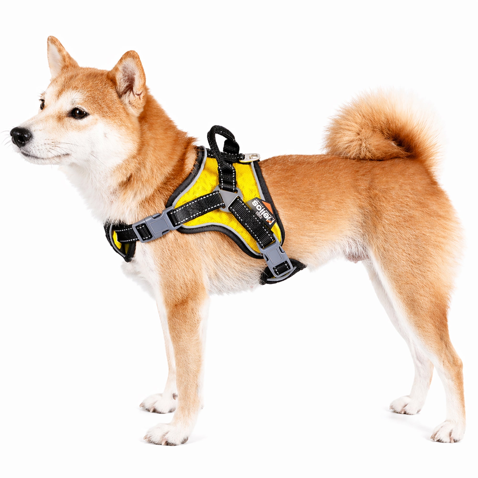 Dog Helios Scorpion Sporty High-Performance Free-Range Dog Harness | HT Animal Supply