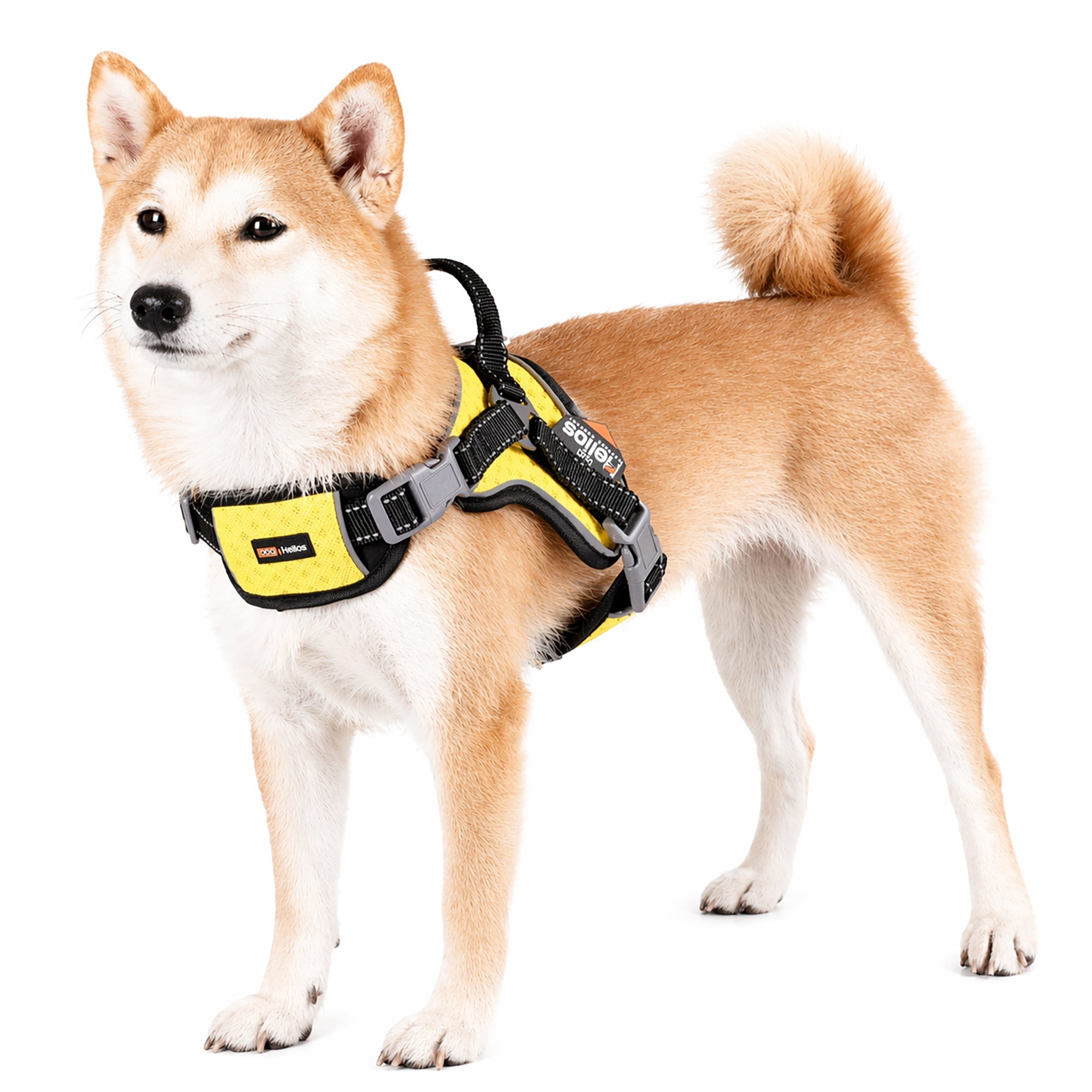 Dog Helios Scorpion Sporty High-Performance Free-Range Dog Harness | HT Animal Supply