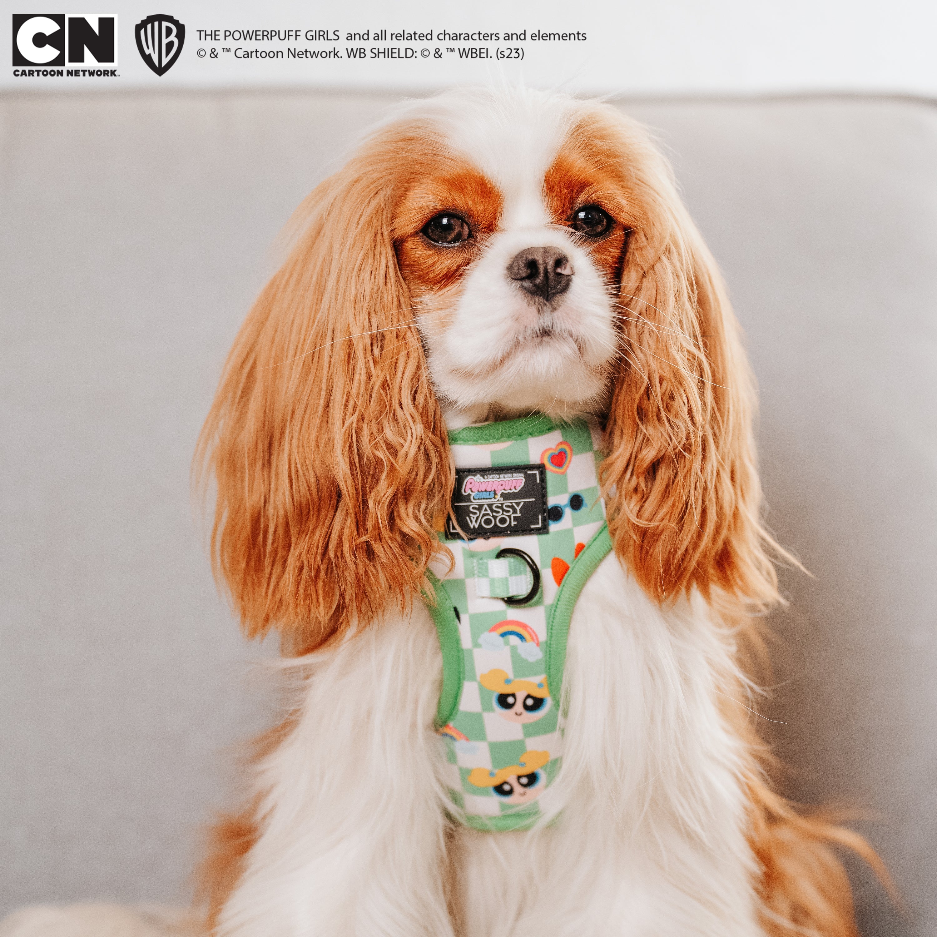 Dog Adjustable Harness - The Powerpuff Girls™ (Green)