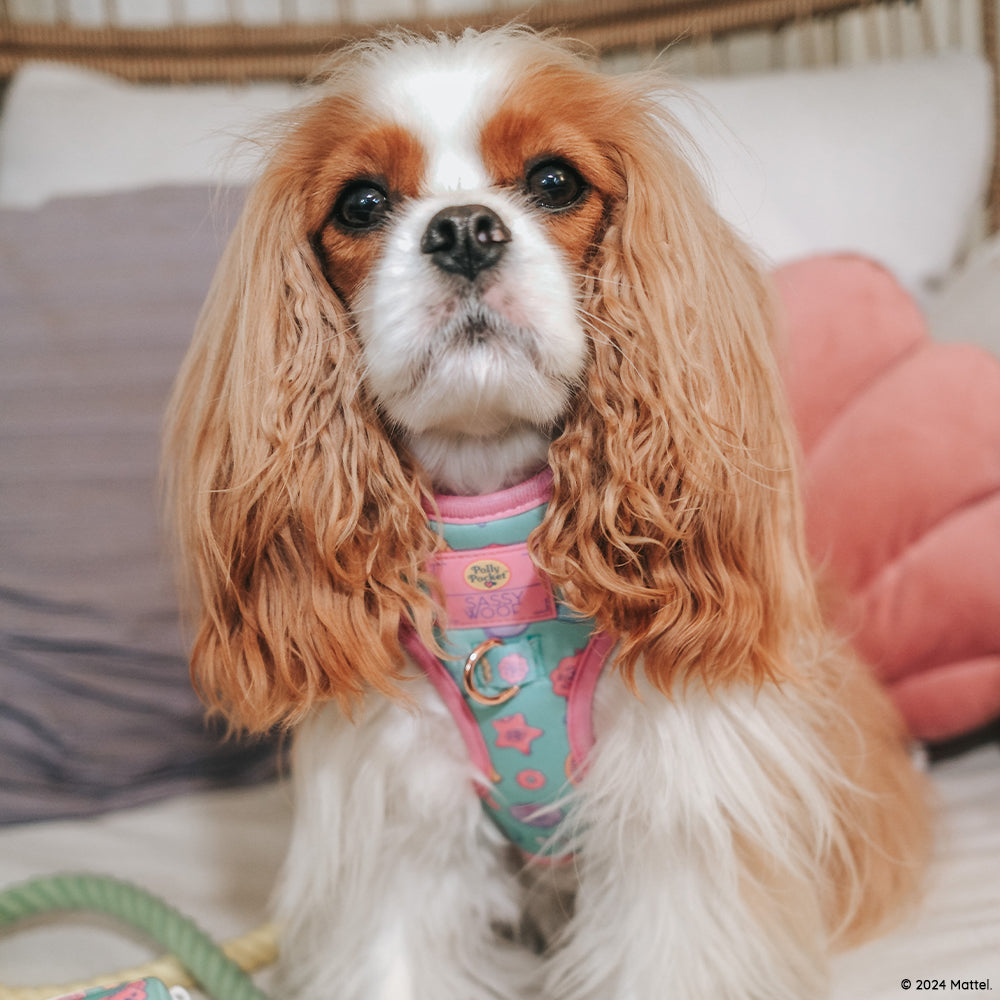 Dog Adjustable Harness - Polly Pocket™